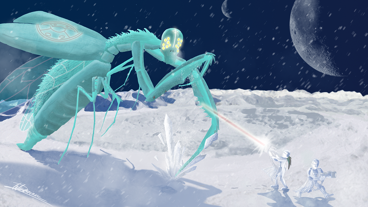 Attack on the Polar Zone